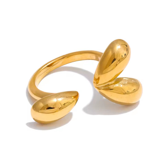 Vane ring